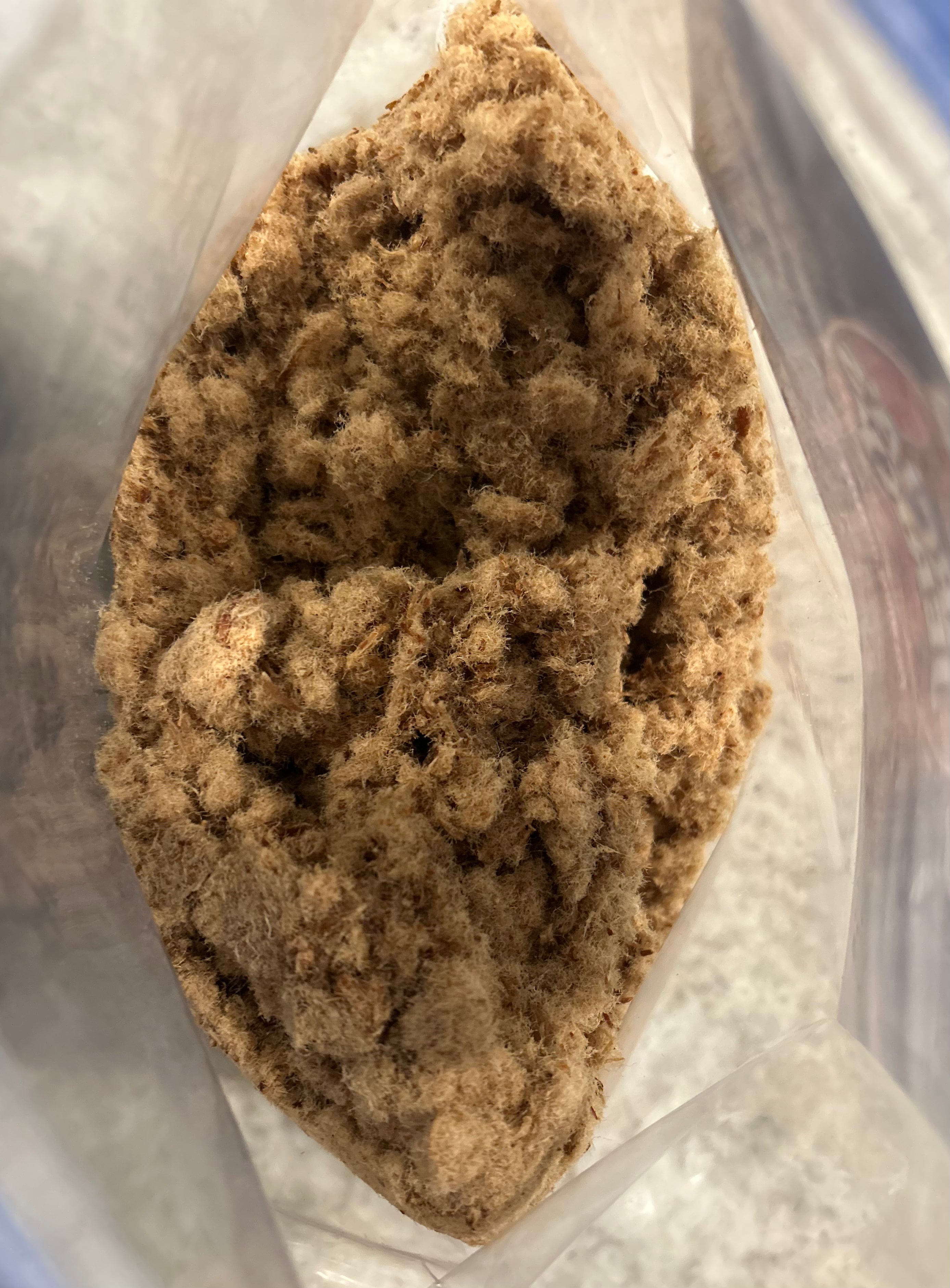 Machaca